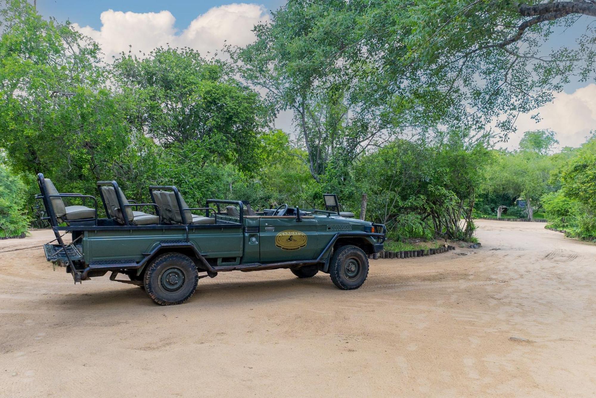 Вилла Tangala Safari Camp Торнибуш-Гейм-Резерв Экстерьер фото